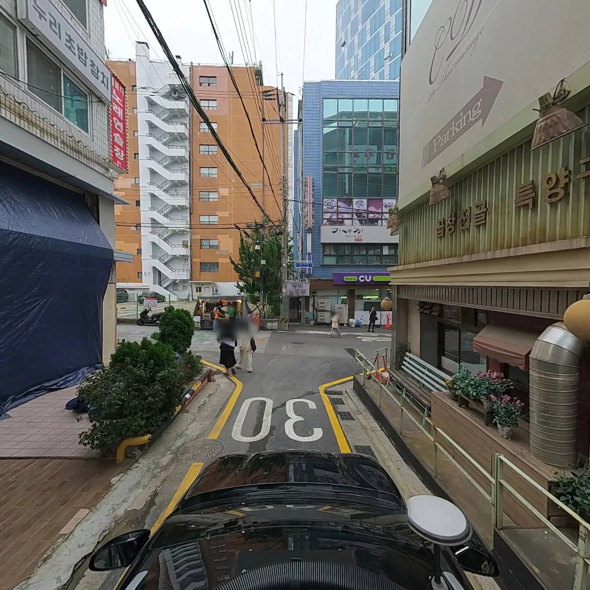 365코이의원_4