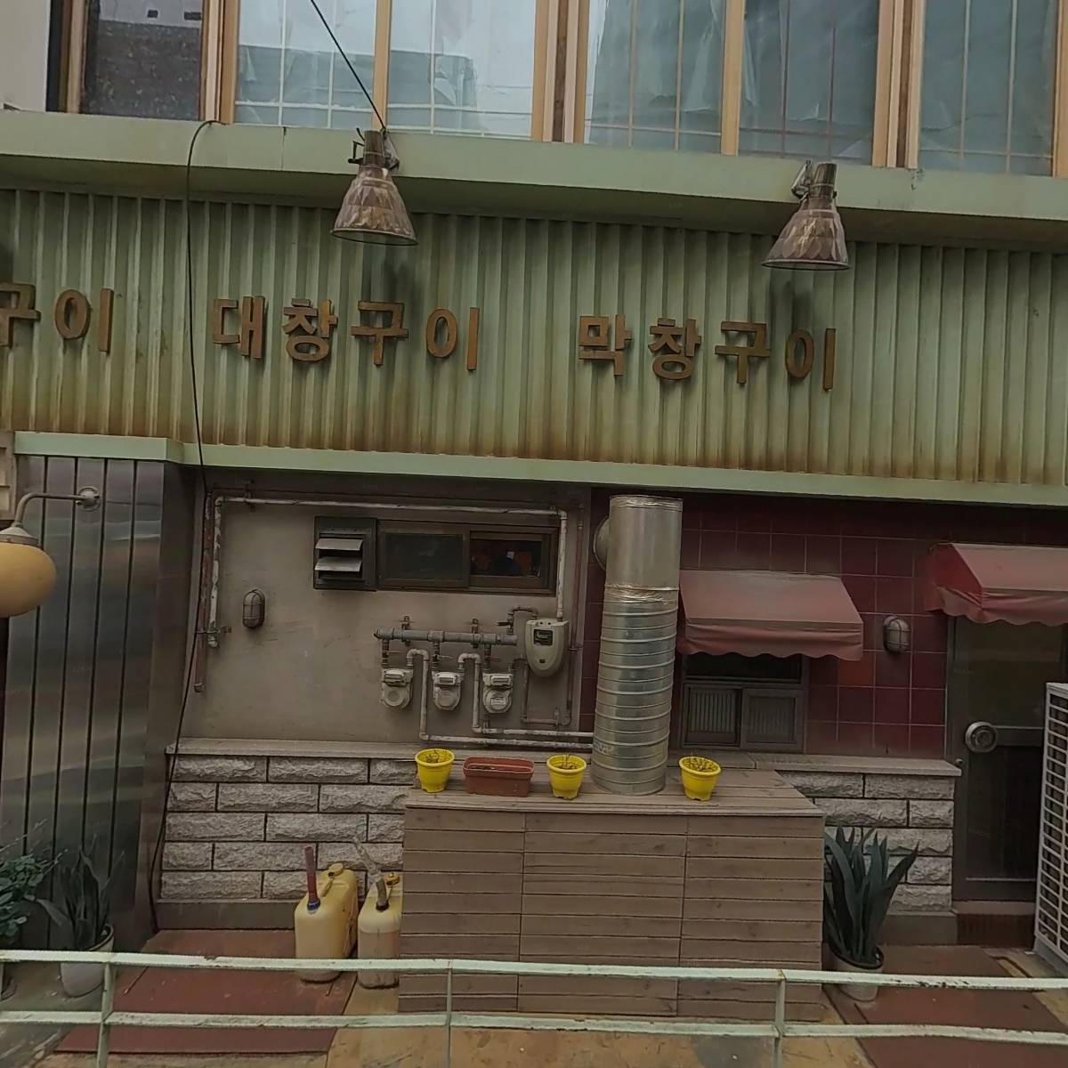 365코이의원