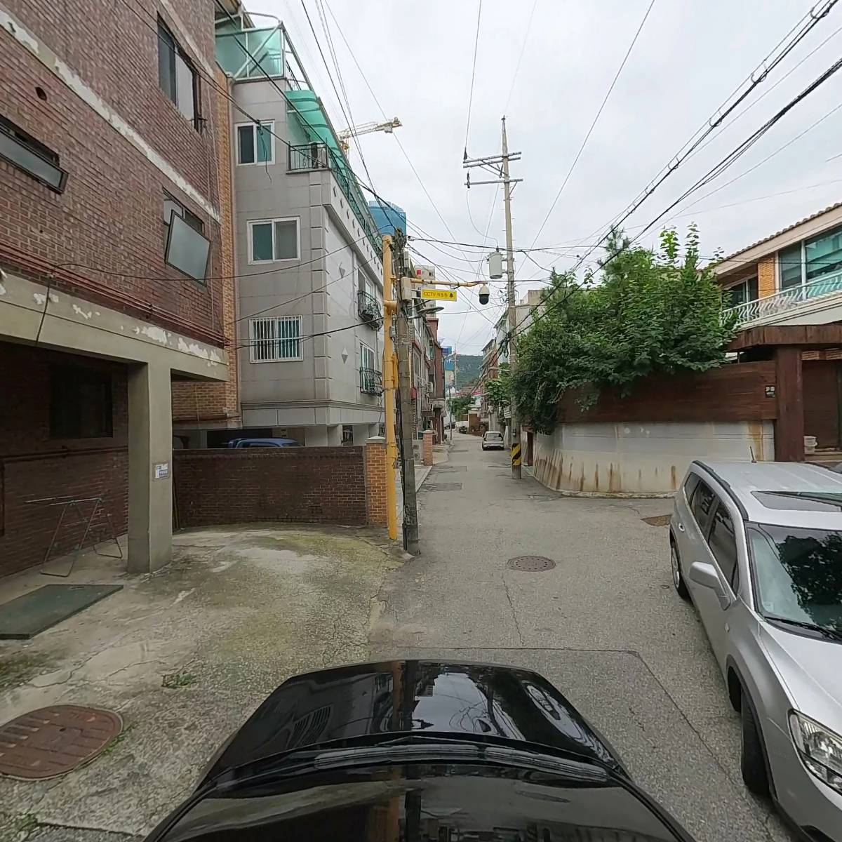 베리타스_4