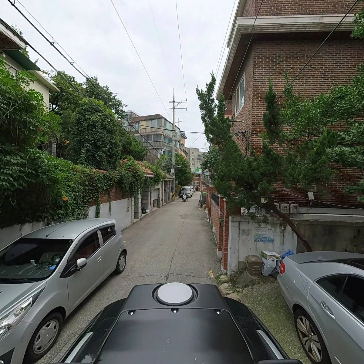 베리타스_2