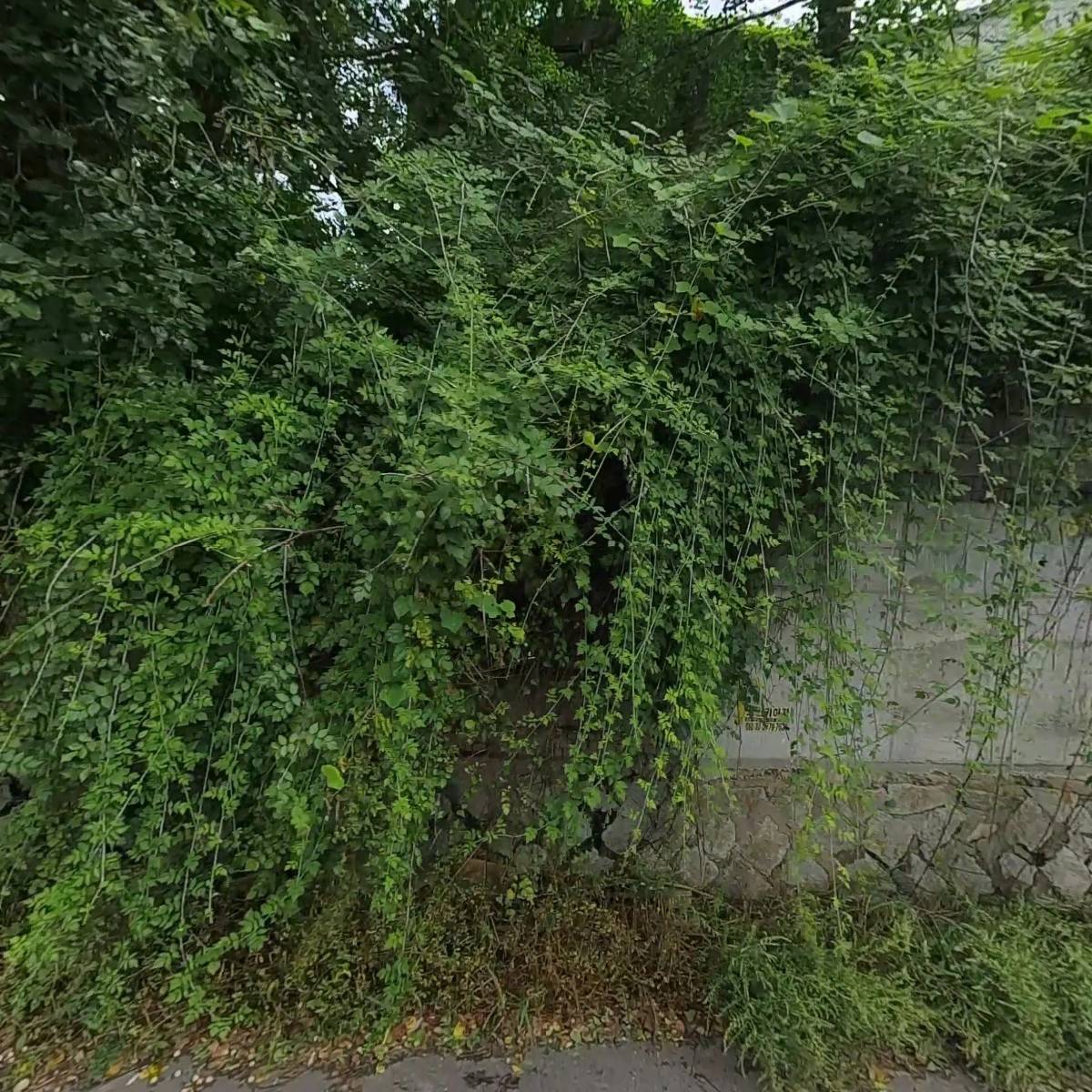 원진상사_3