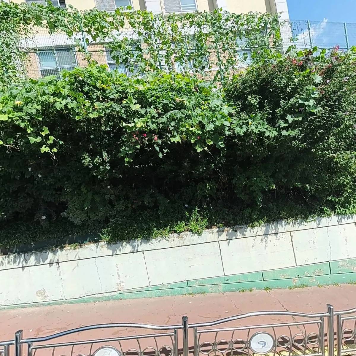 천하무적스팀세차