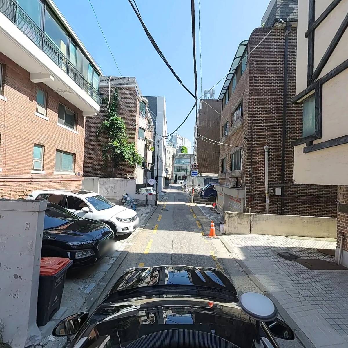슈나우저 불랑쥬리_4