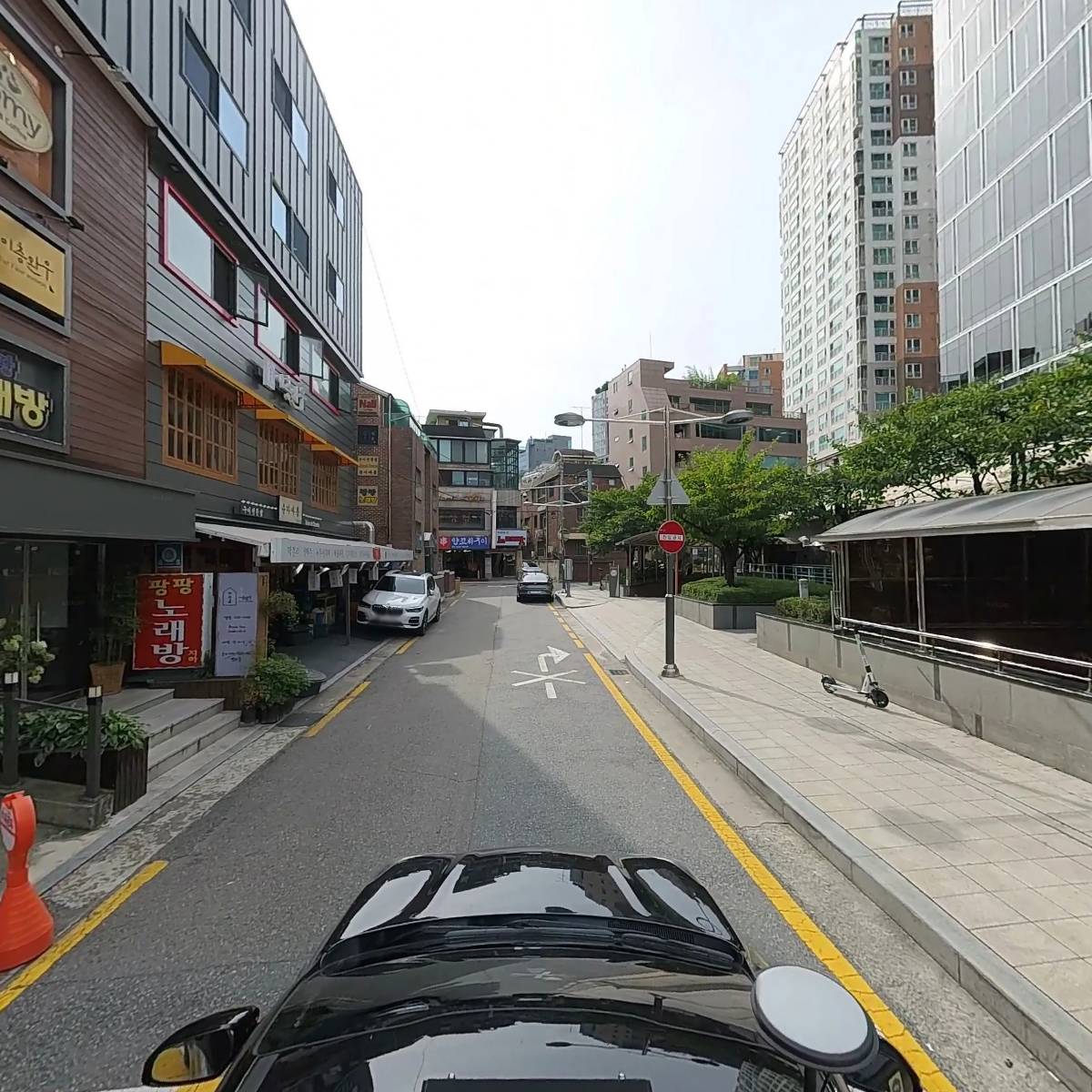 스프라우트 발아_4