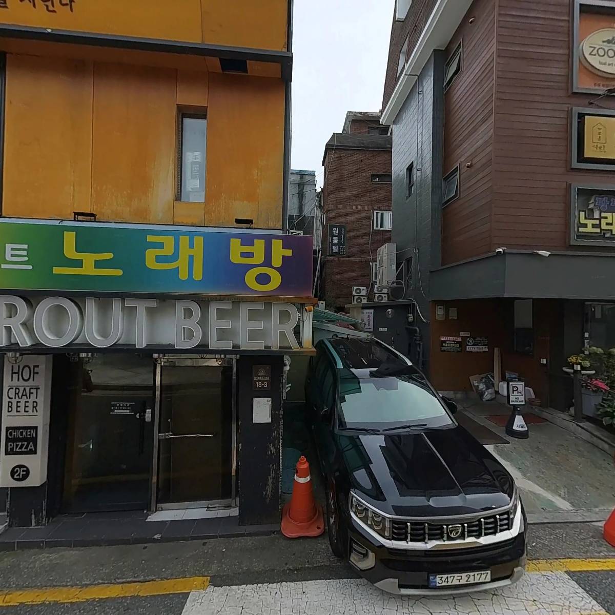 스프라우트 발아_3