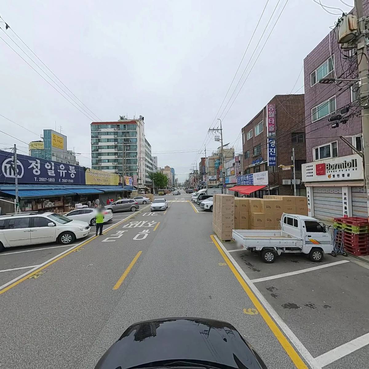 펫시즌_4