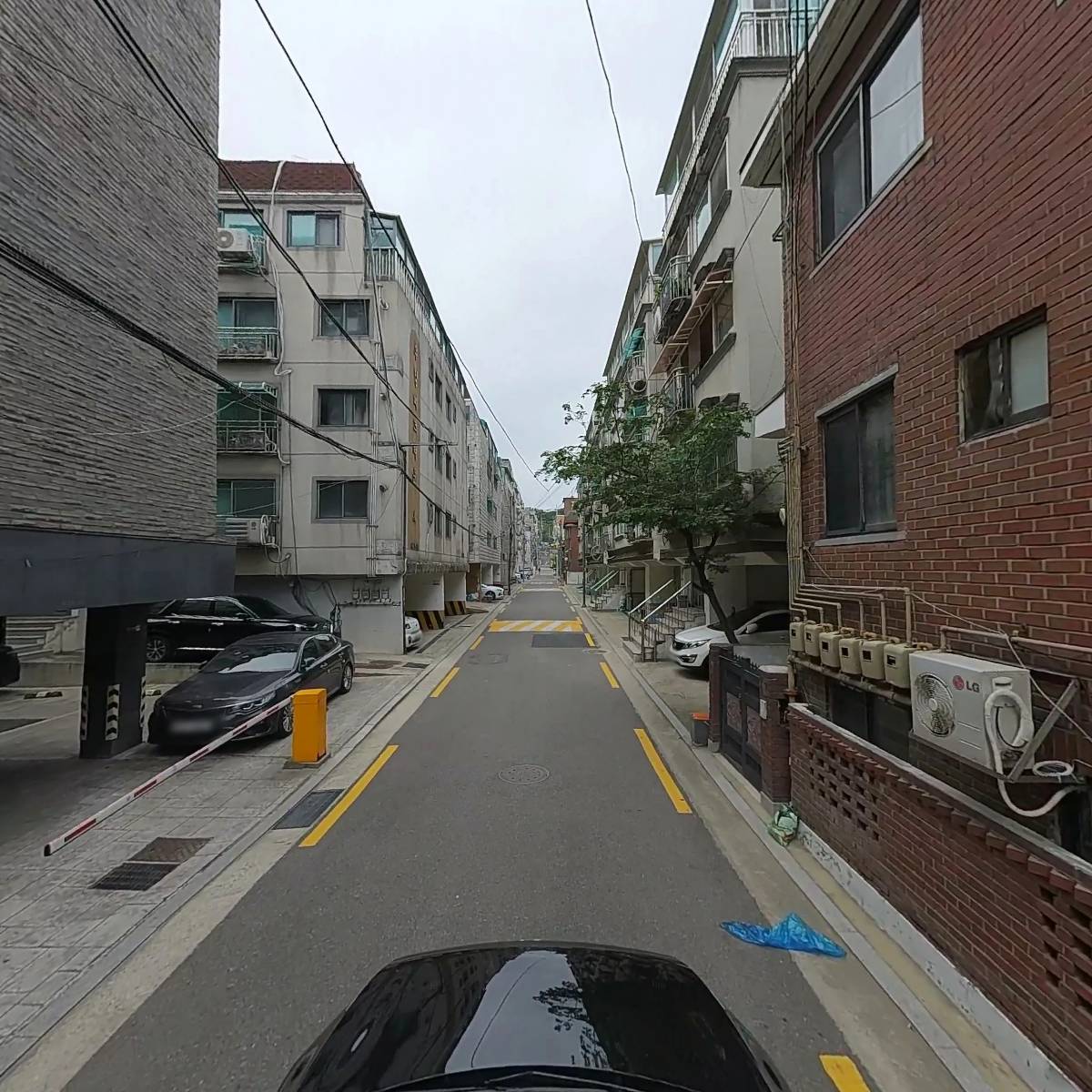 메종드떼_4