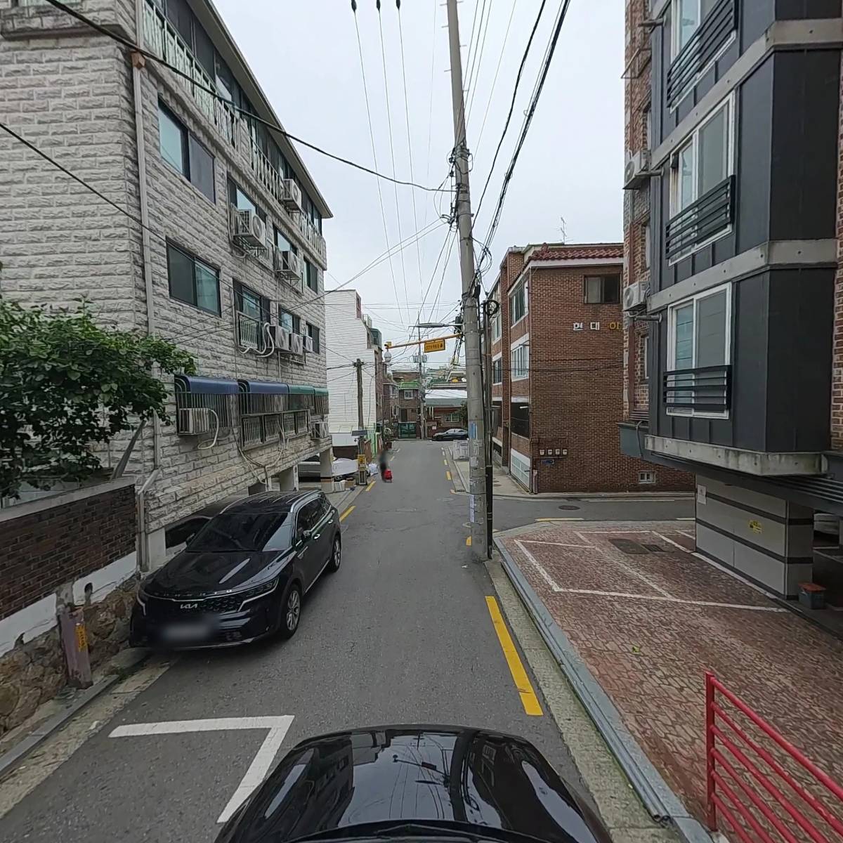 고르다(GORDA)_4