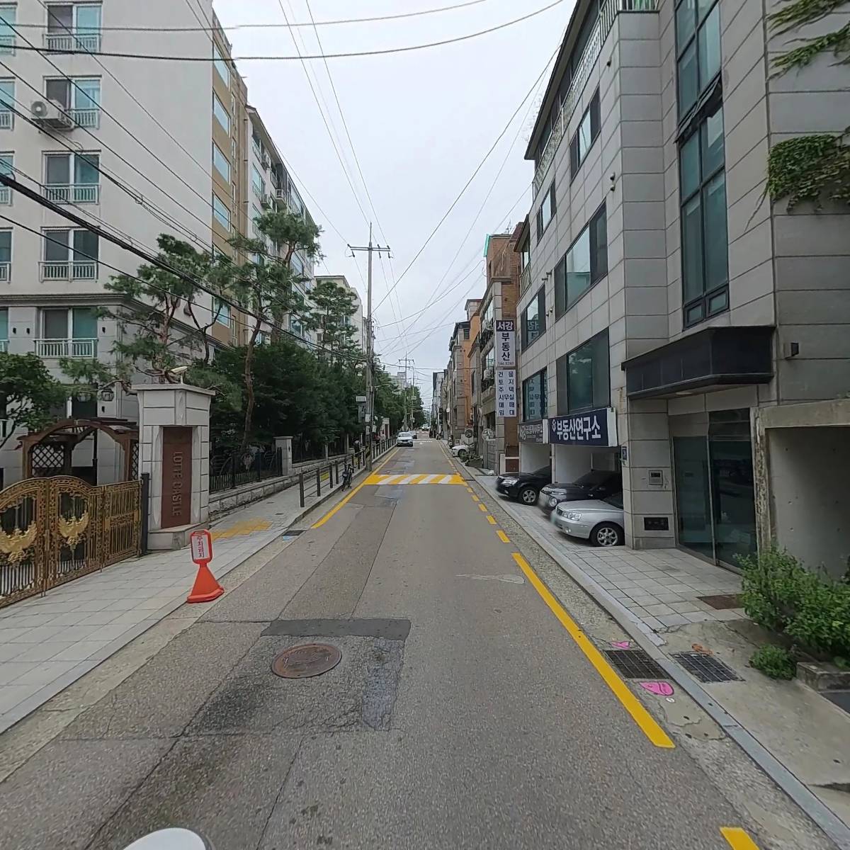 코주노(cozzuno)_2