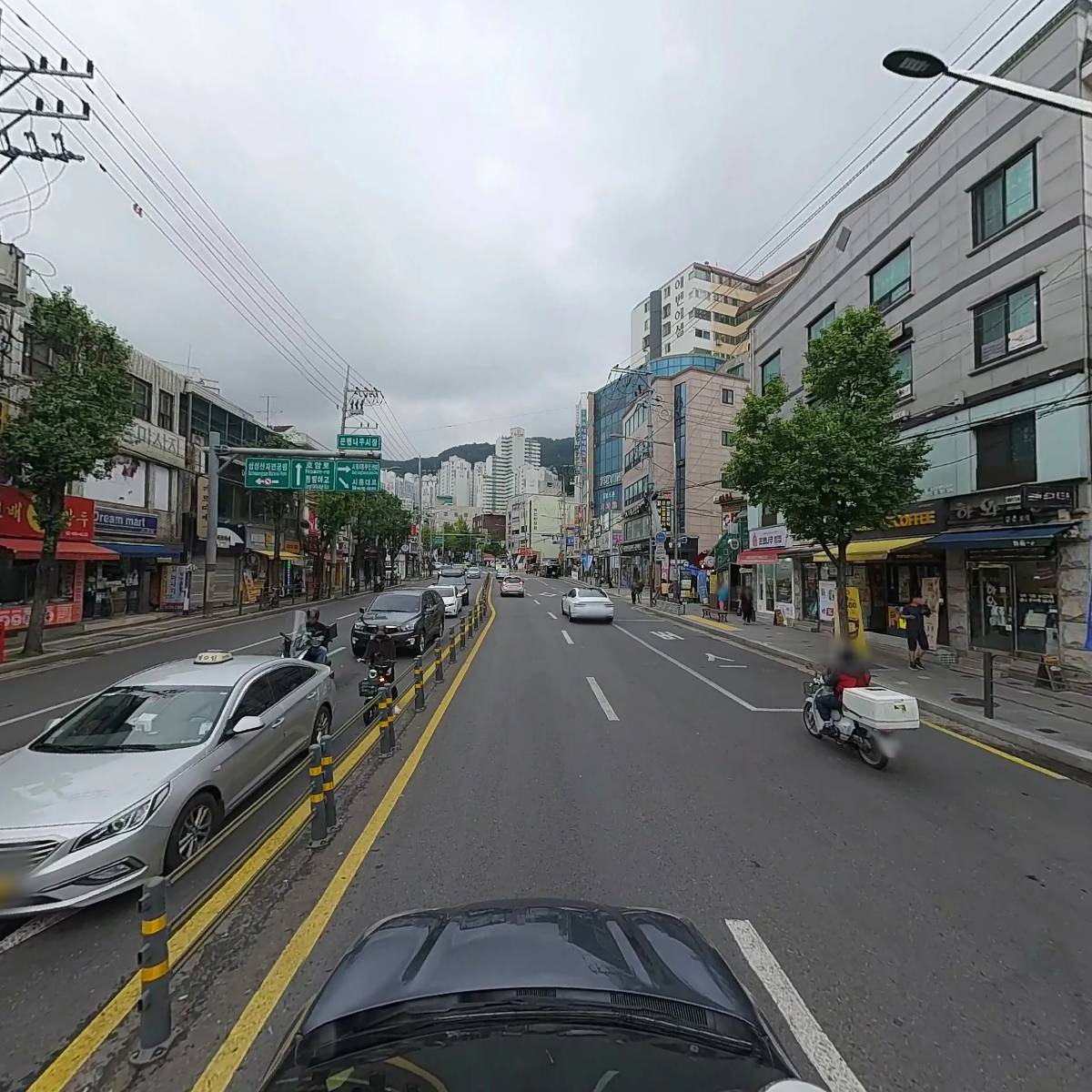 대한약국_4