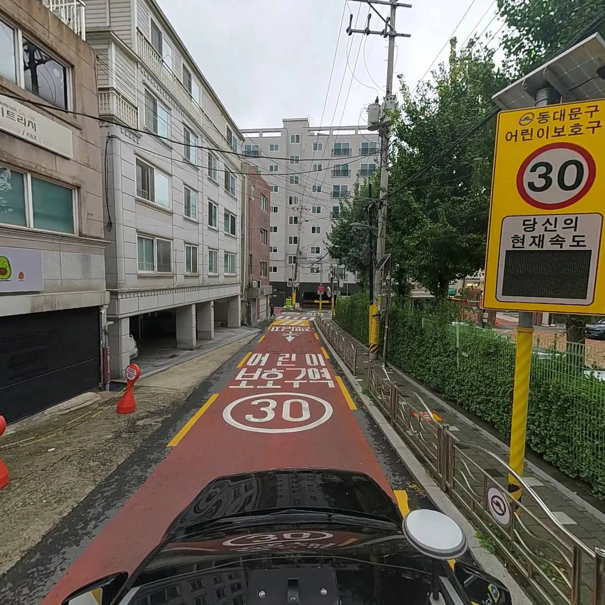 자애인_4