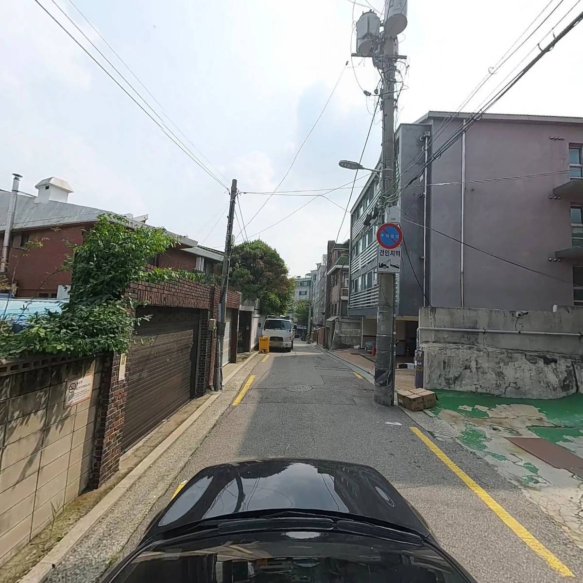 수노아자수_4
