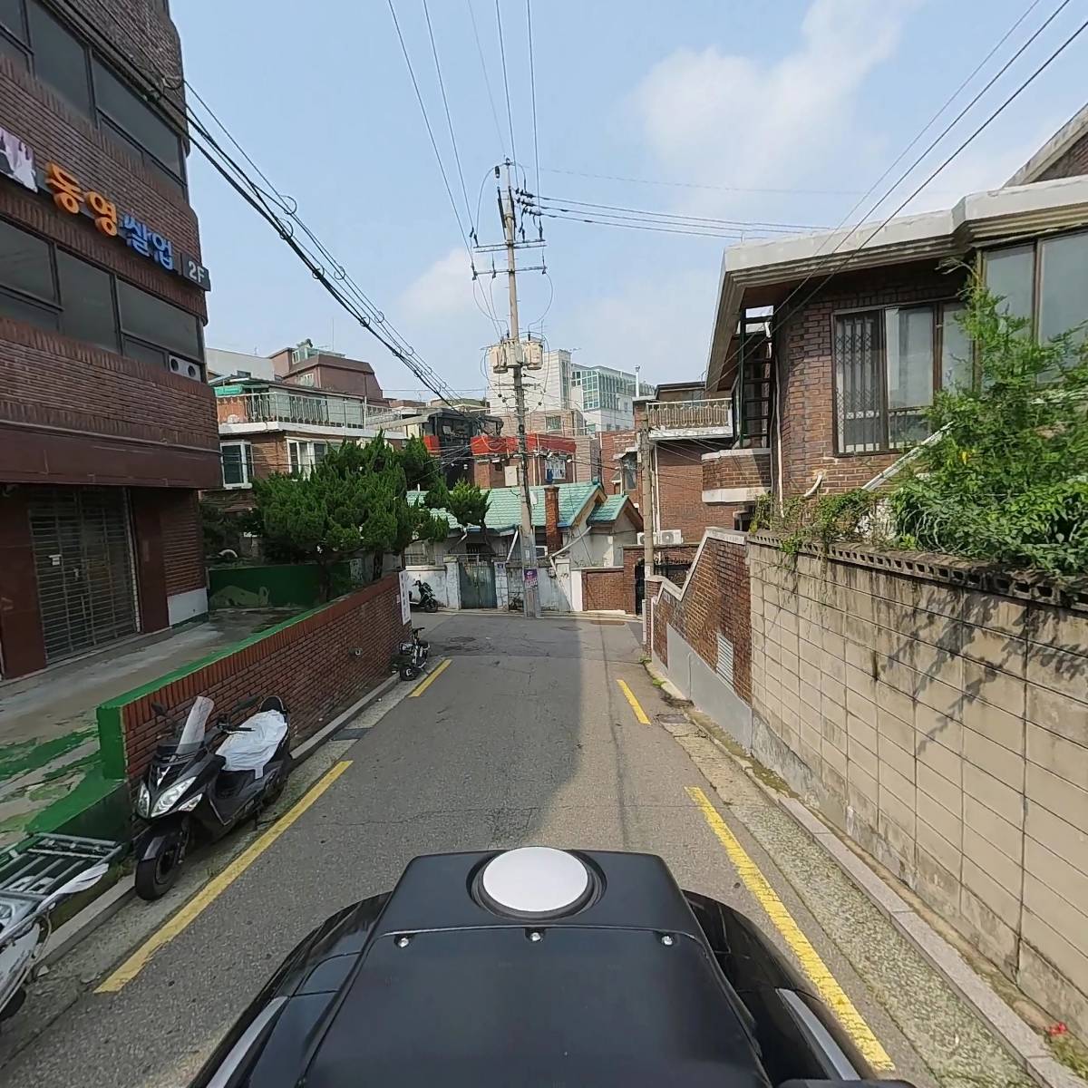 수노아자수_2