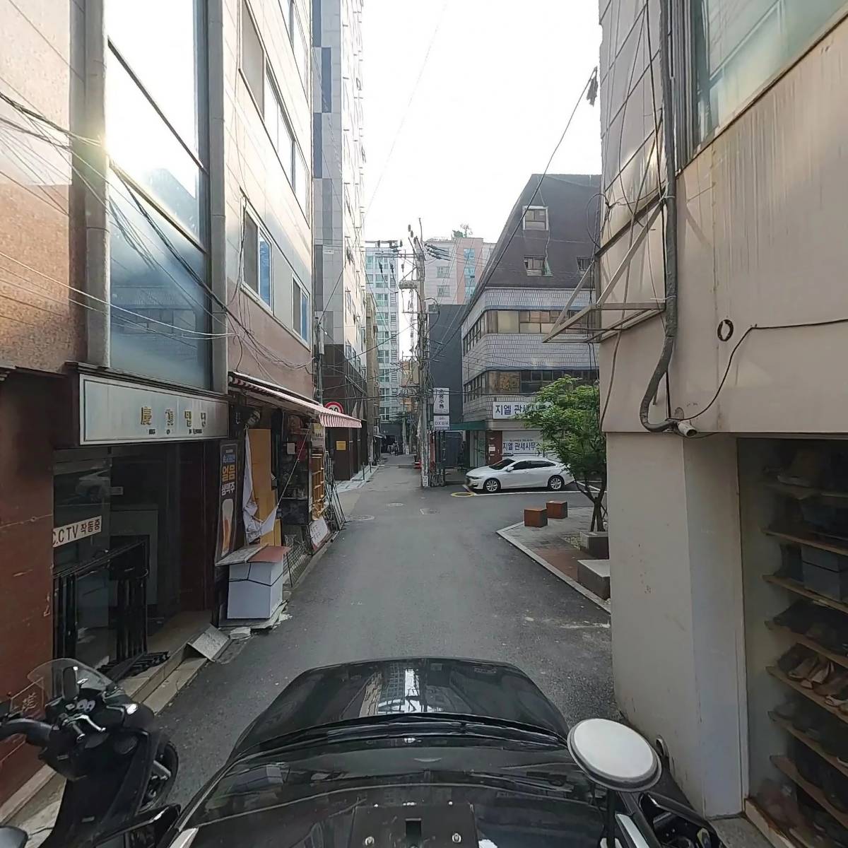 MORP(모프)_4