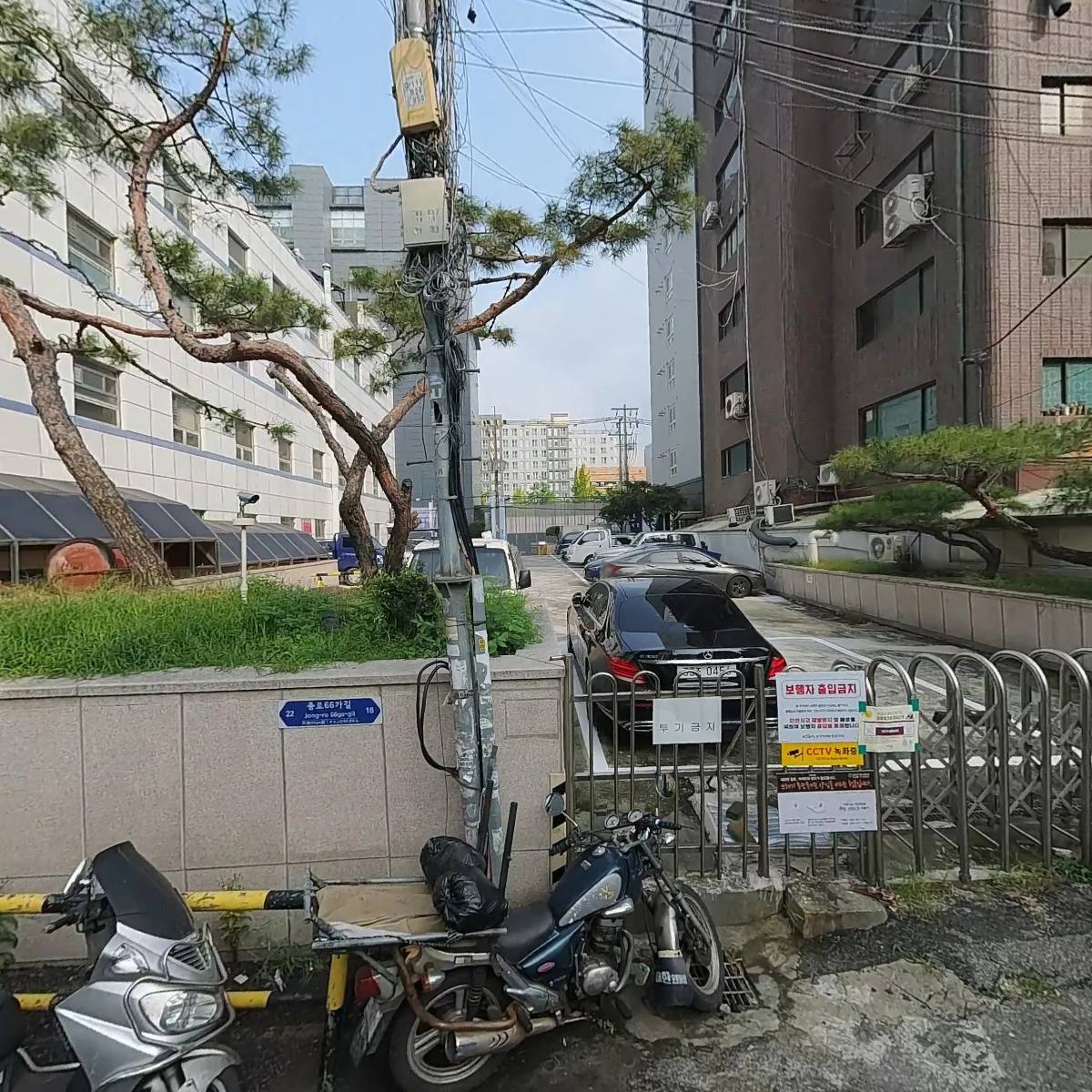 대드라 어패럴