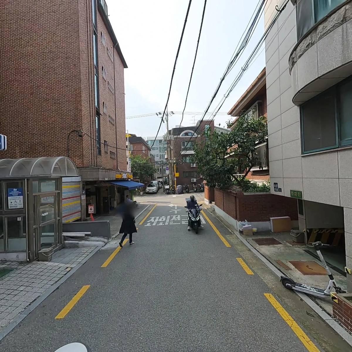 수목관리_2