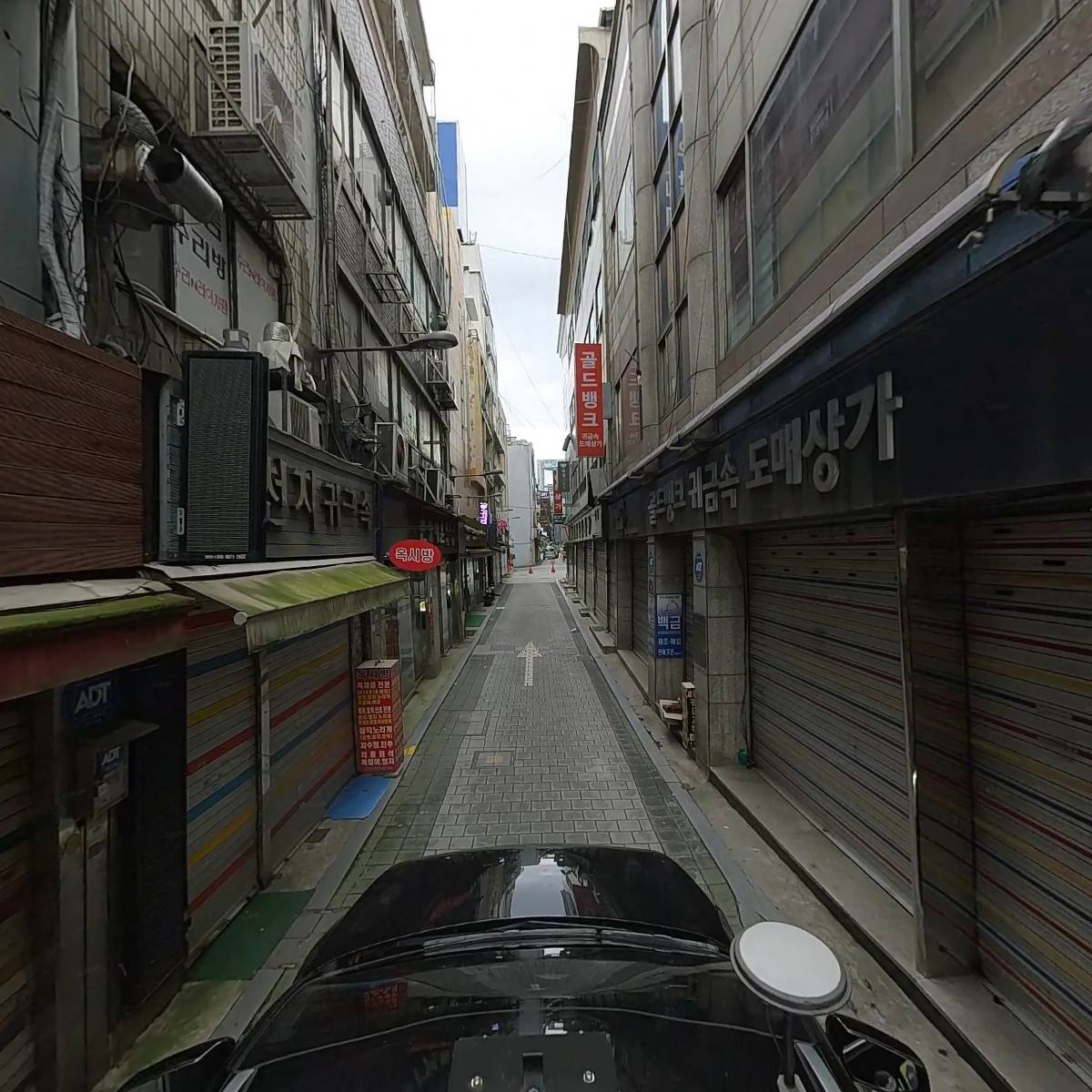 골드레인_4
