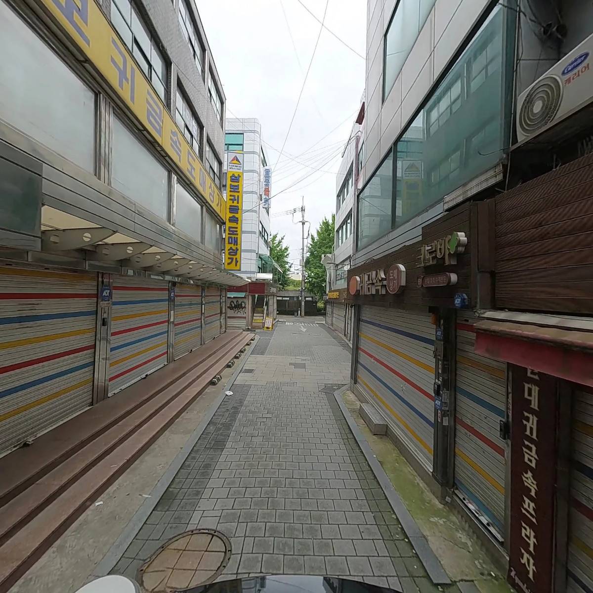 골드레인_2