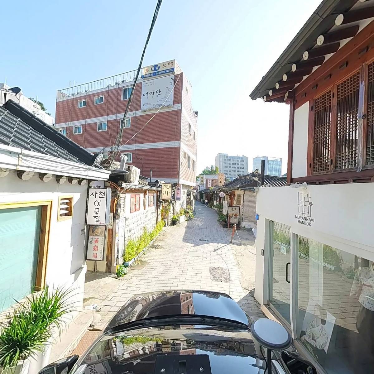 모란나비_4