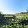 선두수산