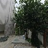 케이프-SBK-J&M 제일호 신기술사업투자조합_3