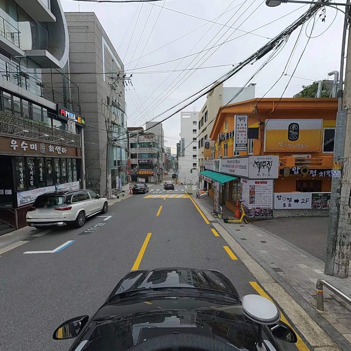 큐오디코리아_4
