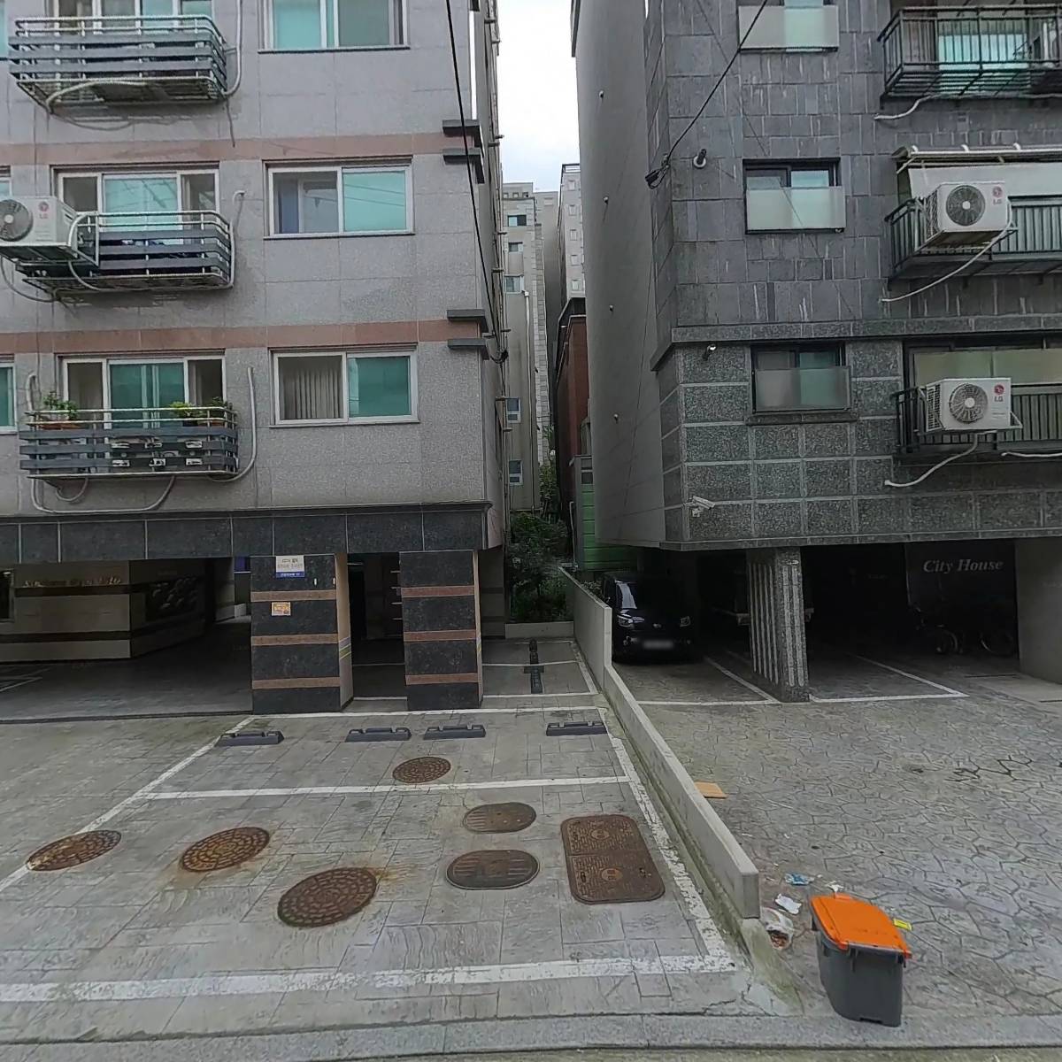 타다이마