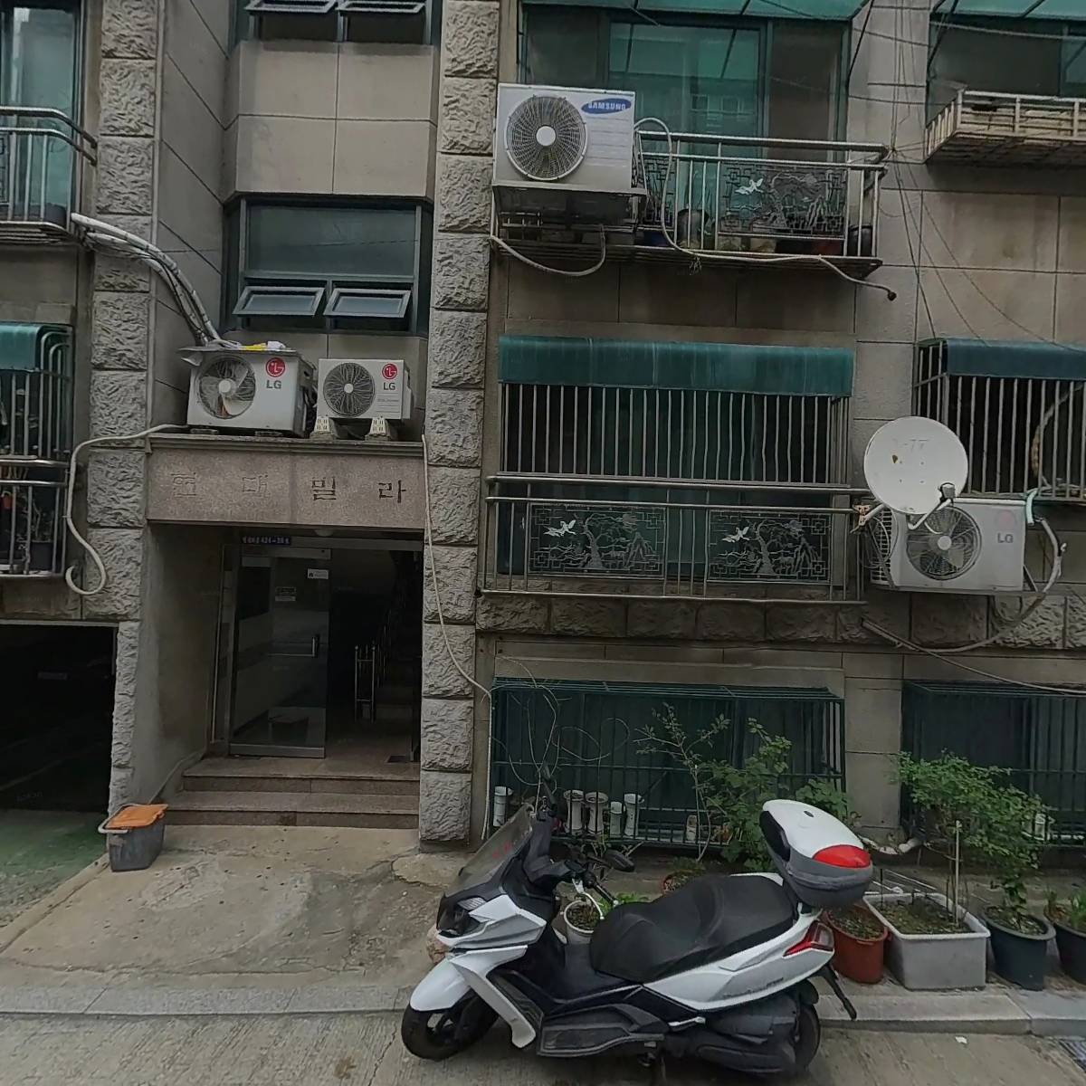 타다이마_3
