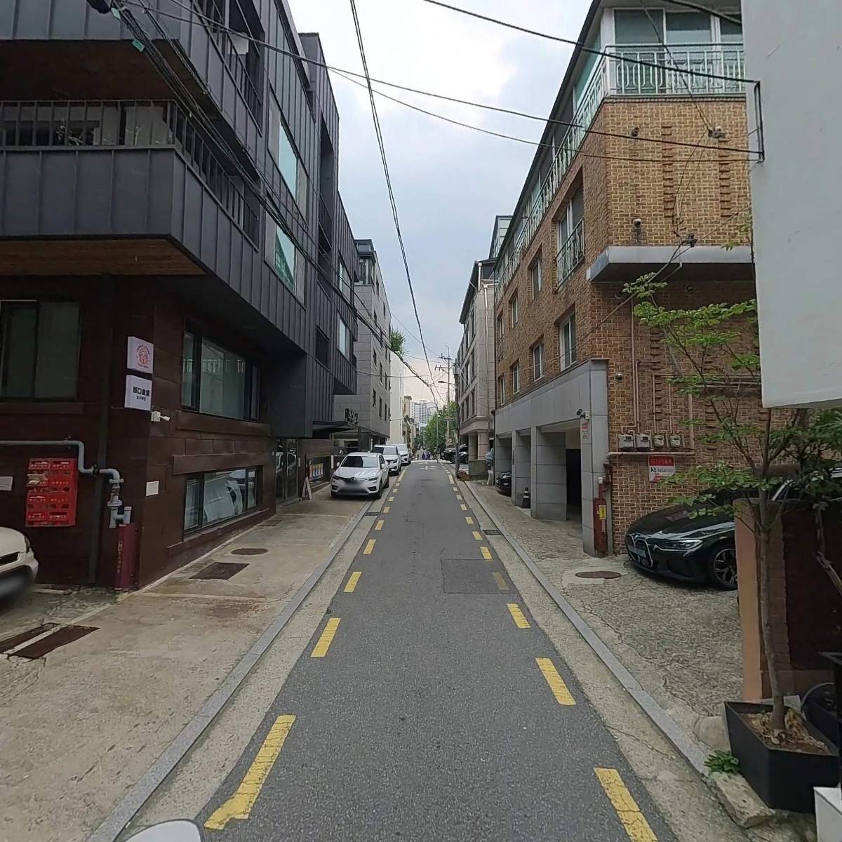 게이터인터내셔날_2