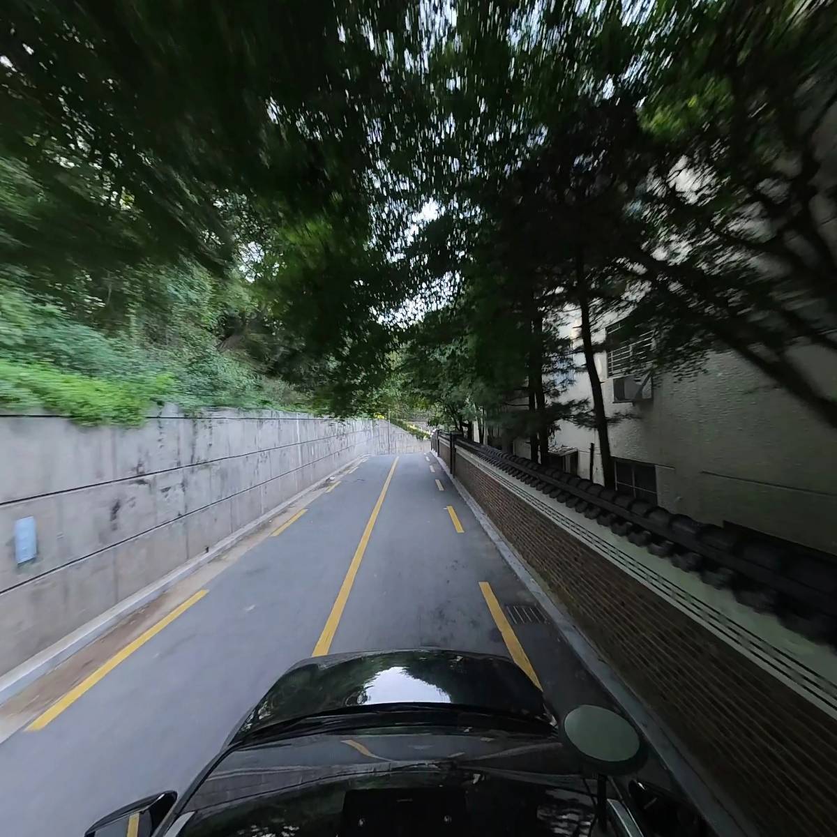 달라도(Dallado)_4