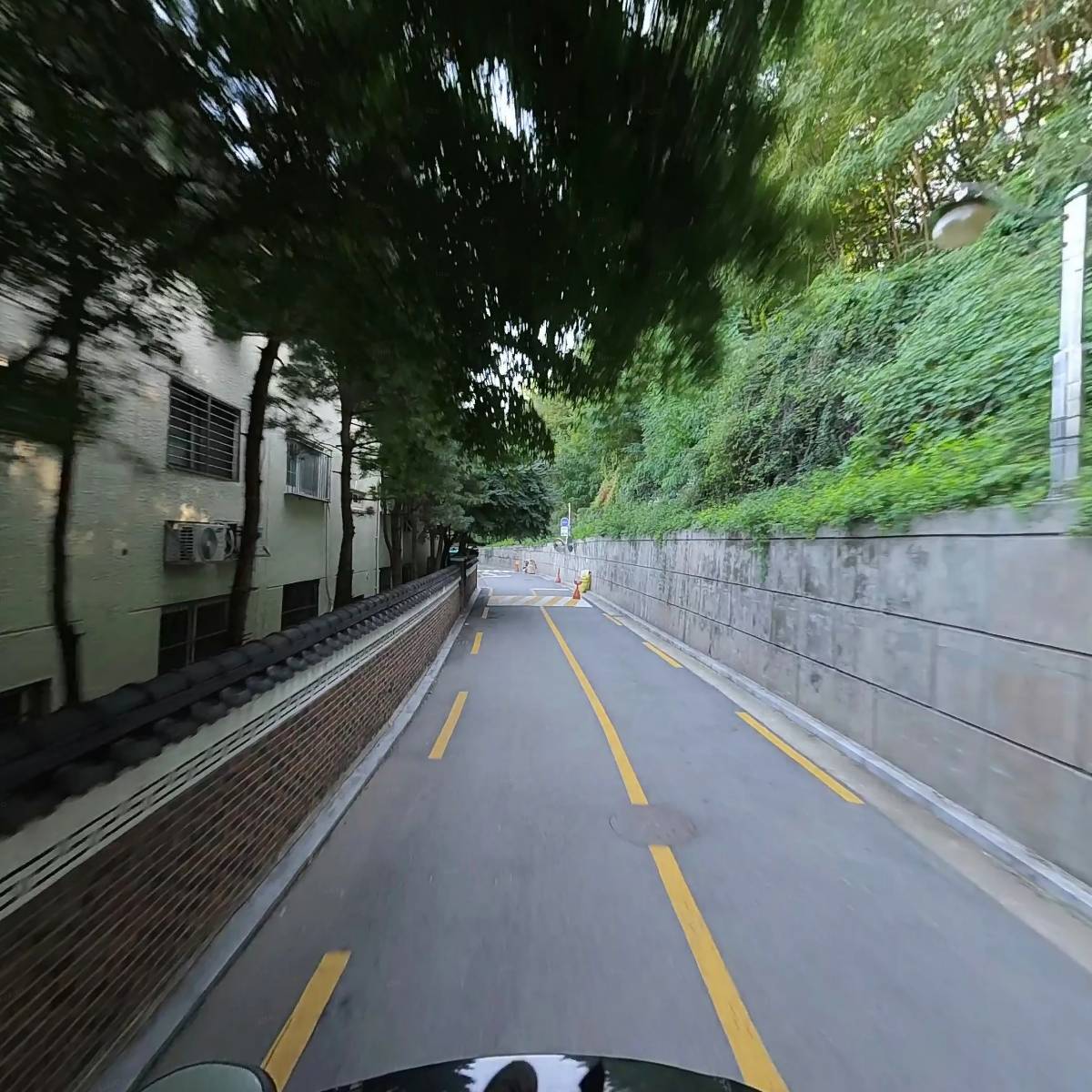 달라도(Dallado)_2