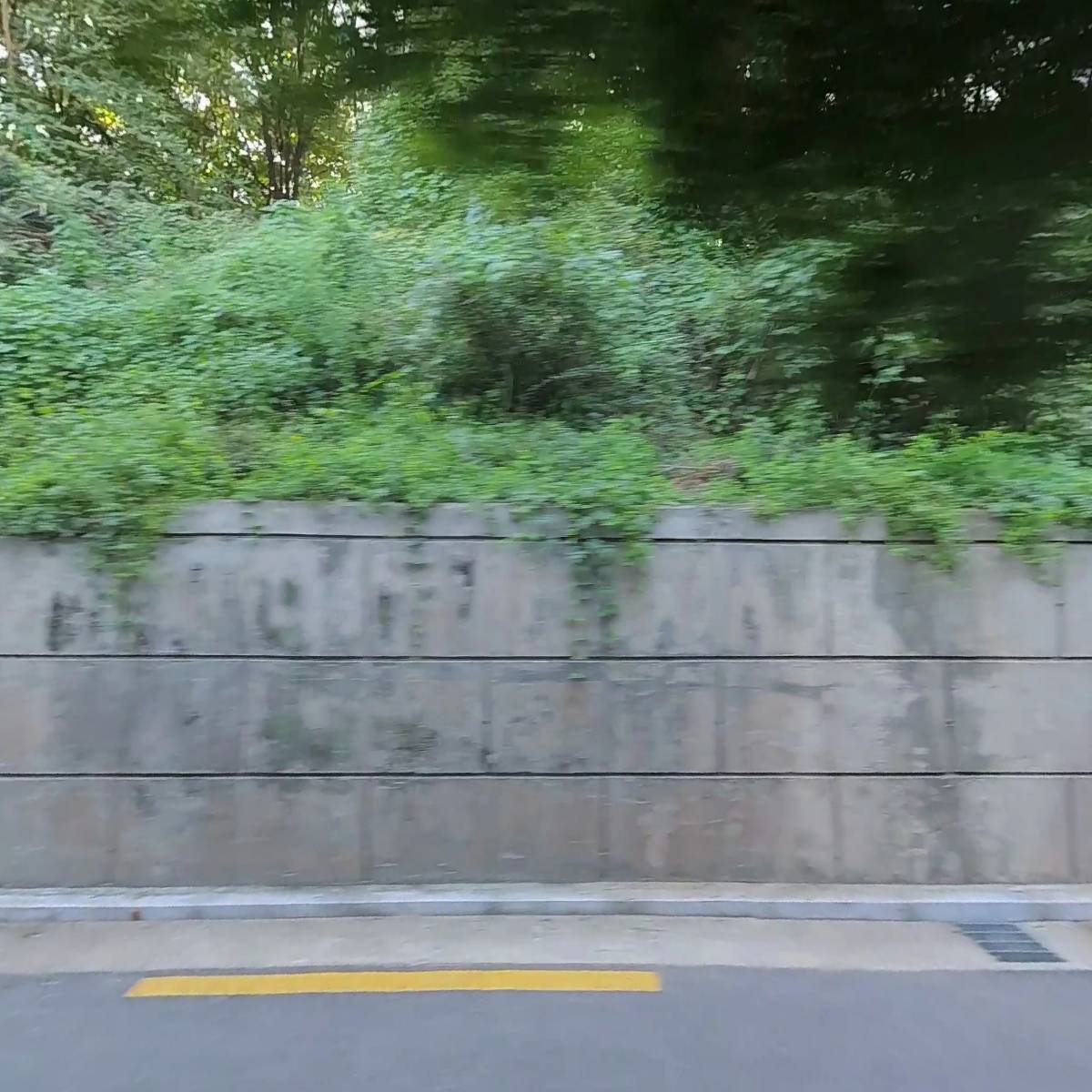 달라도(Dallado)_3