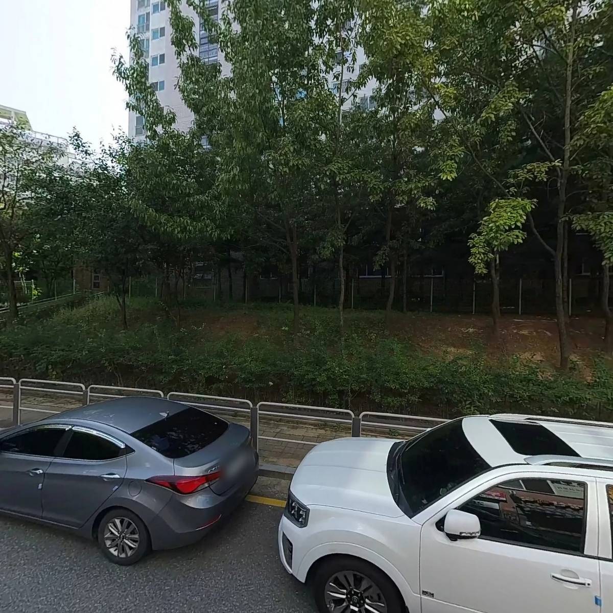 캠프코리아_3