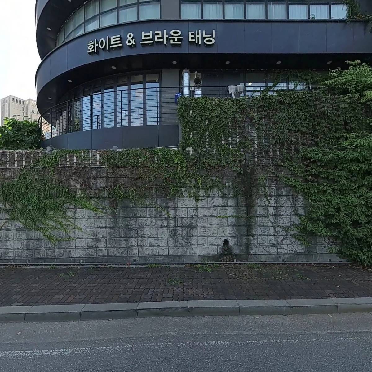 여리한다이어트청담점
