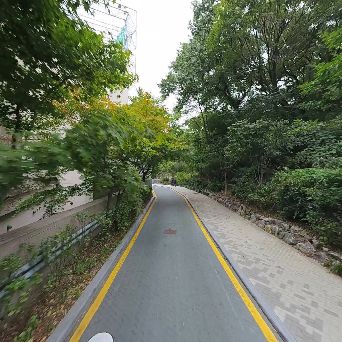엘플로레스 (주)_2