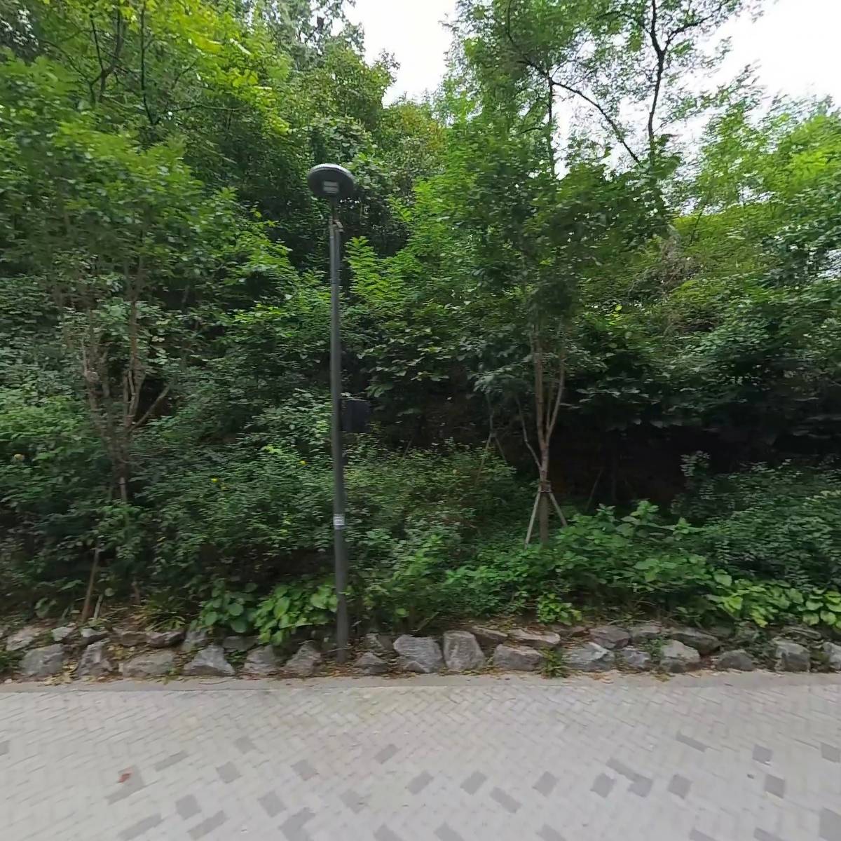 엘플로레스 (주)_3