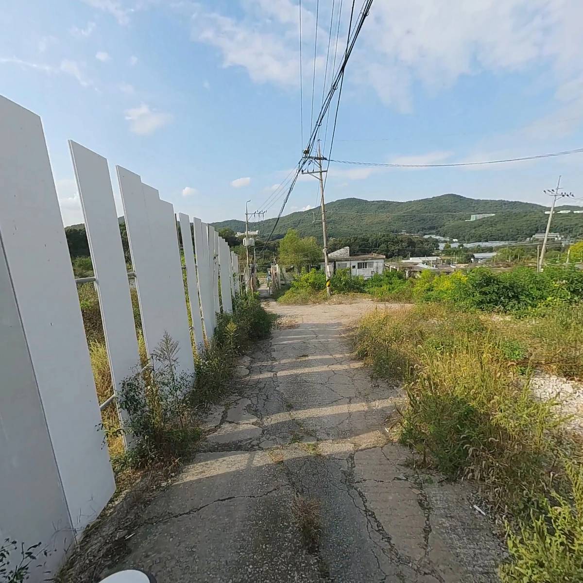진우드_2