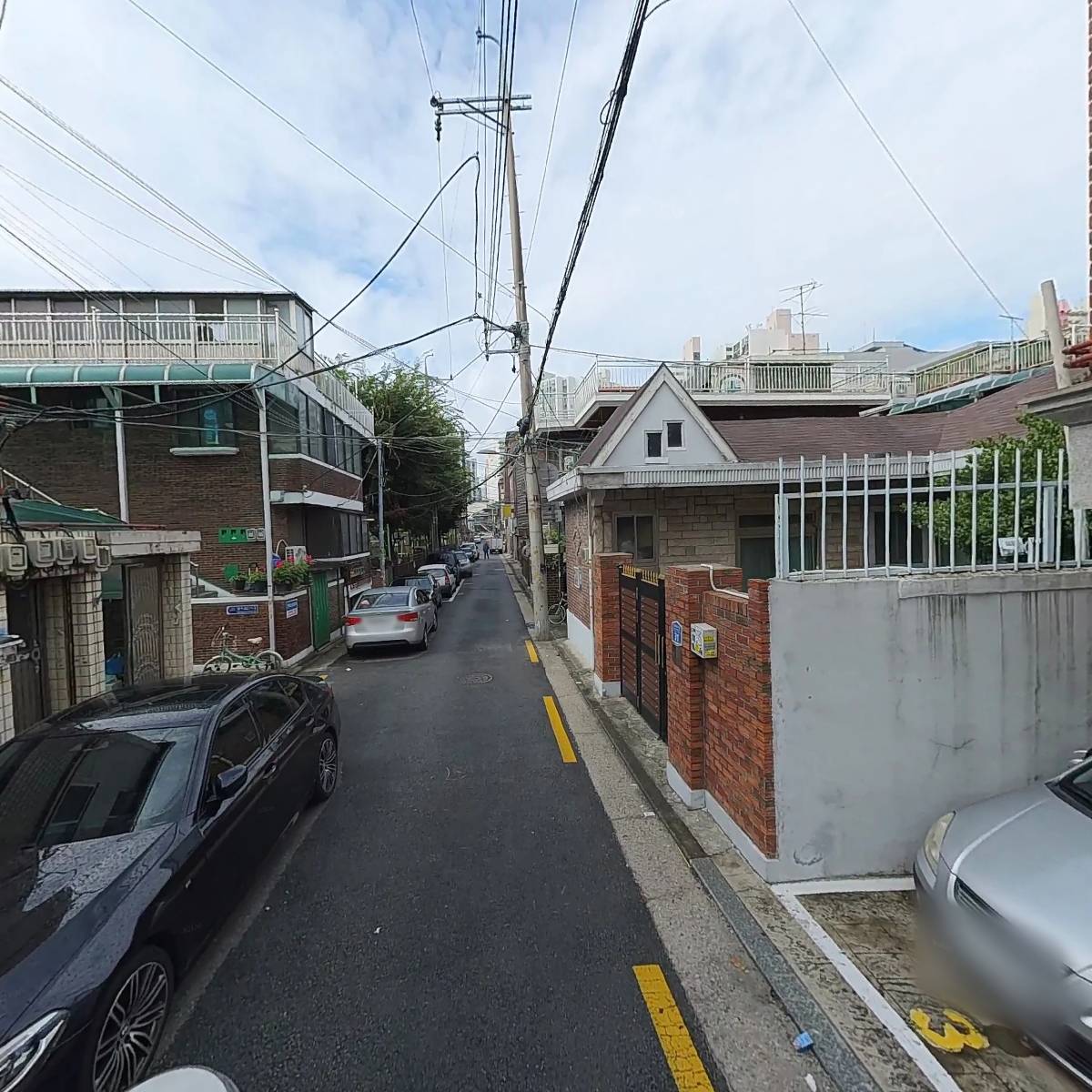 러브 블라썸_2