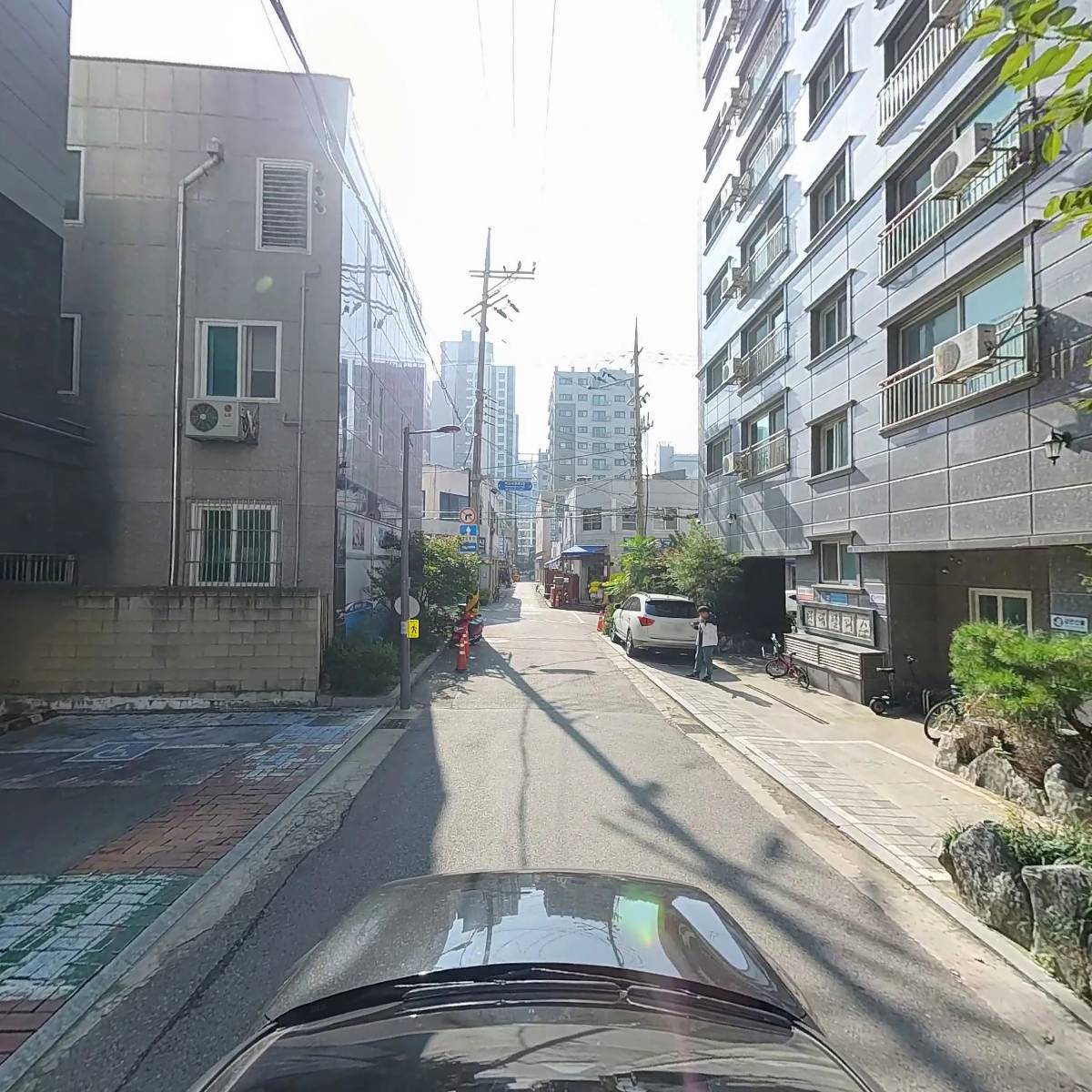 평화호스_4