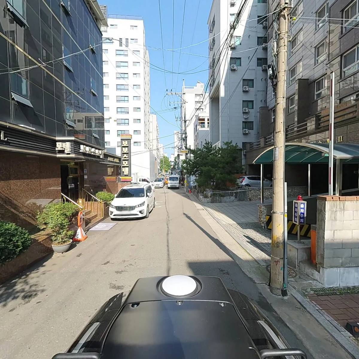 평화호스_2