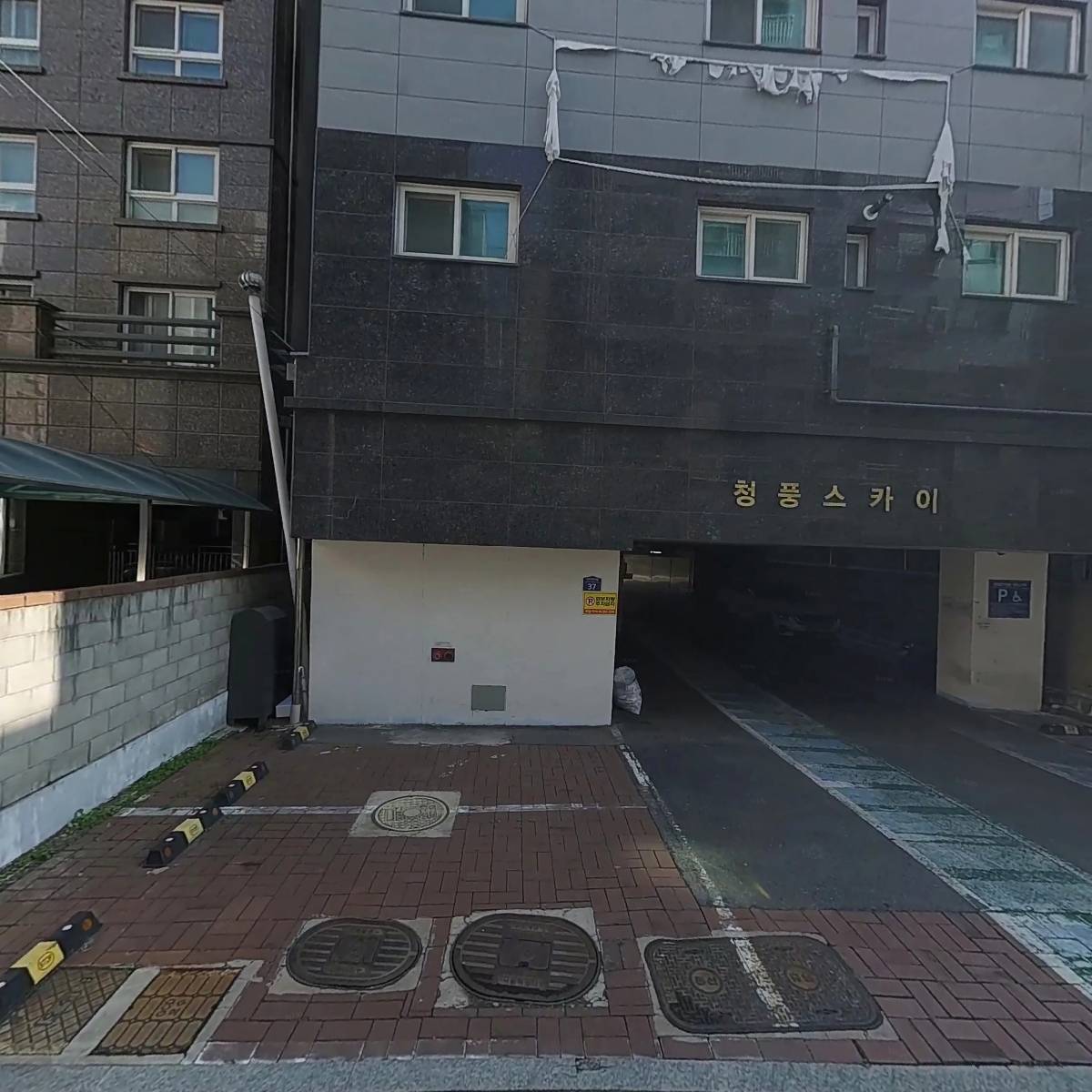 평화호스_3
