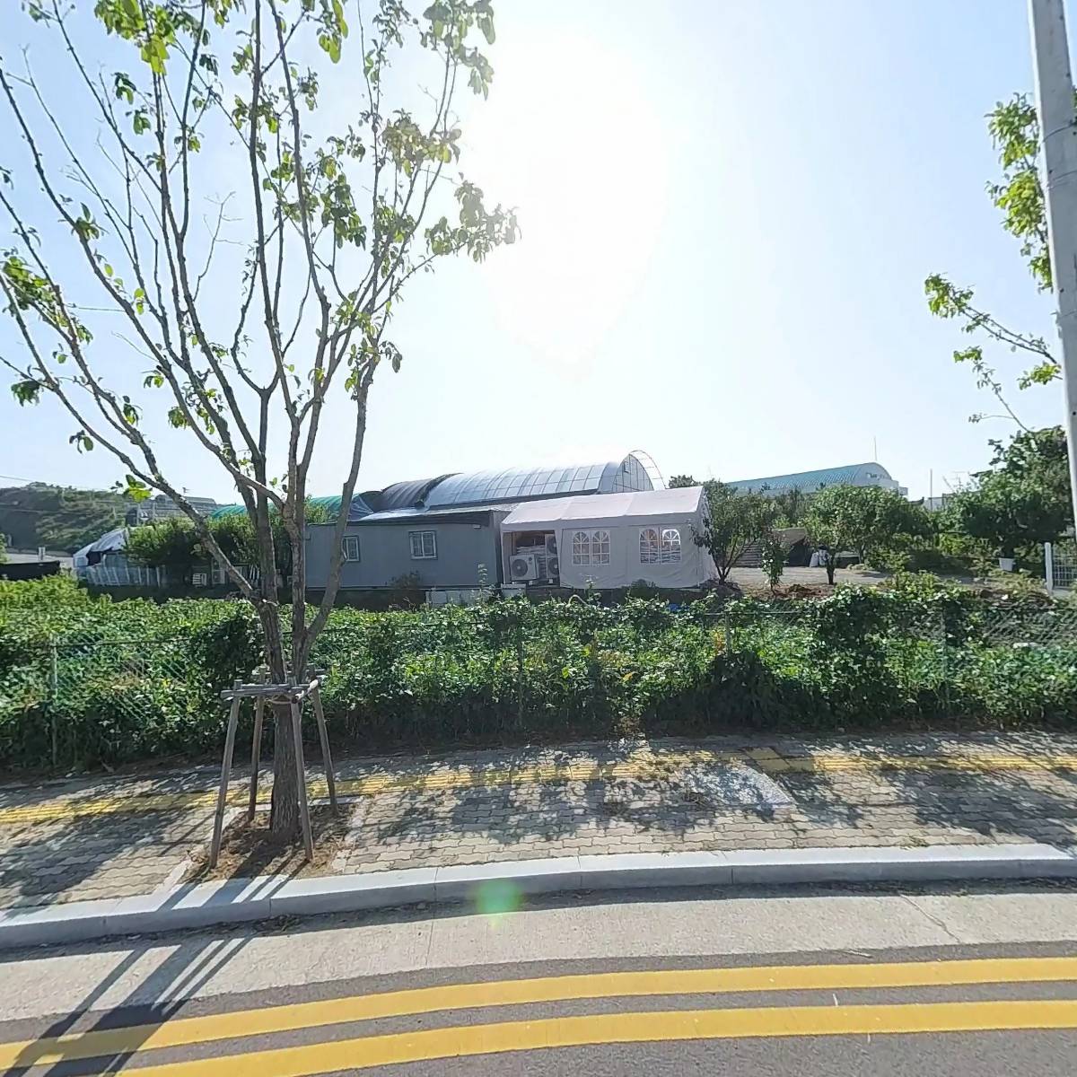 예쁜제라늄농장