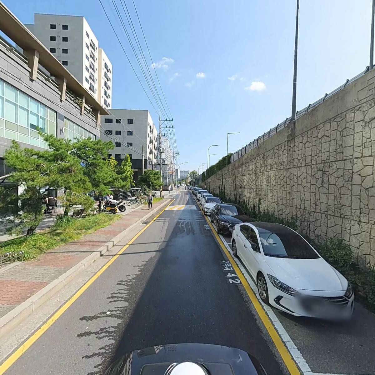옵토프로코리아_2