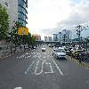 크로커다일레이디_2