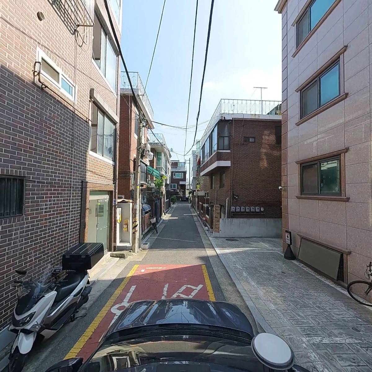 레아채모피_4