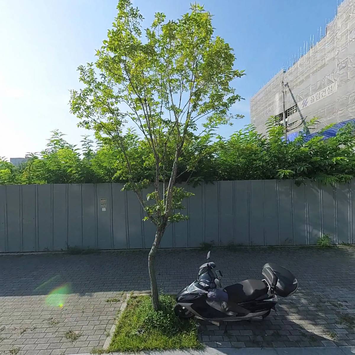 라파아이비젼