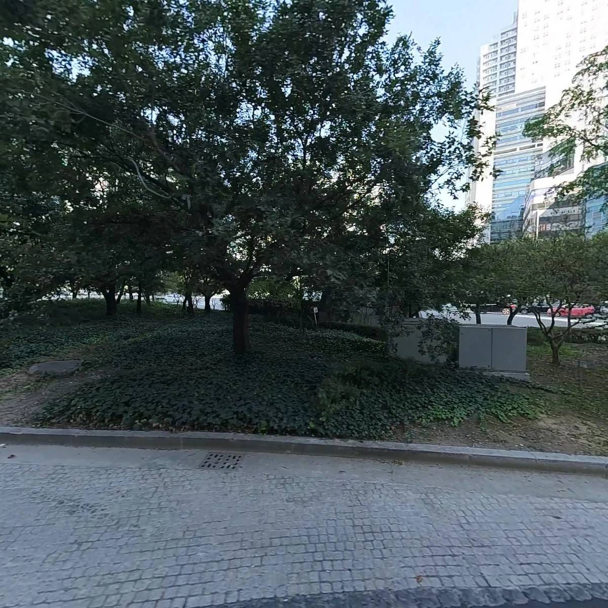 제주산방식당대구점_3