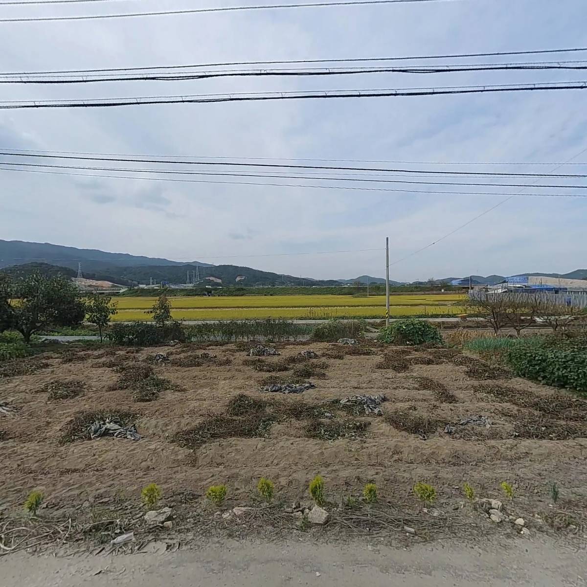 석구주유소