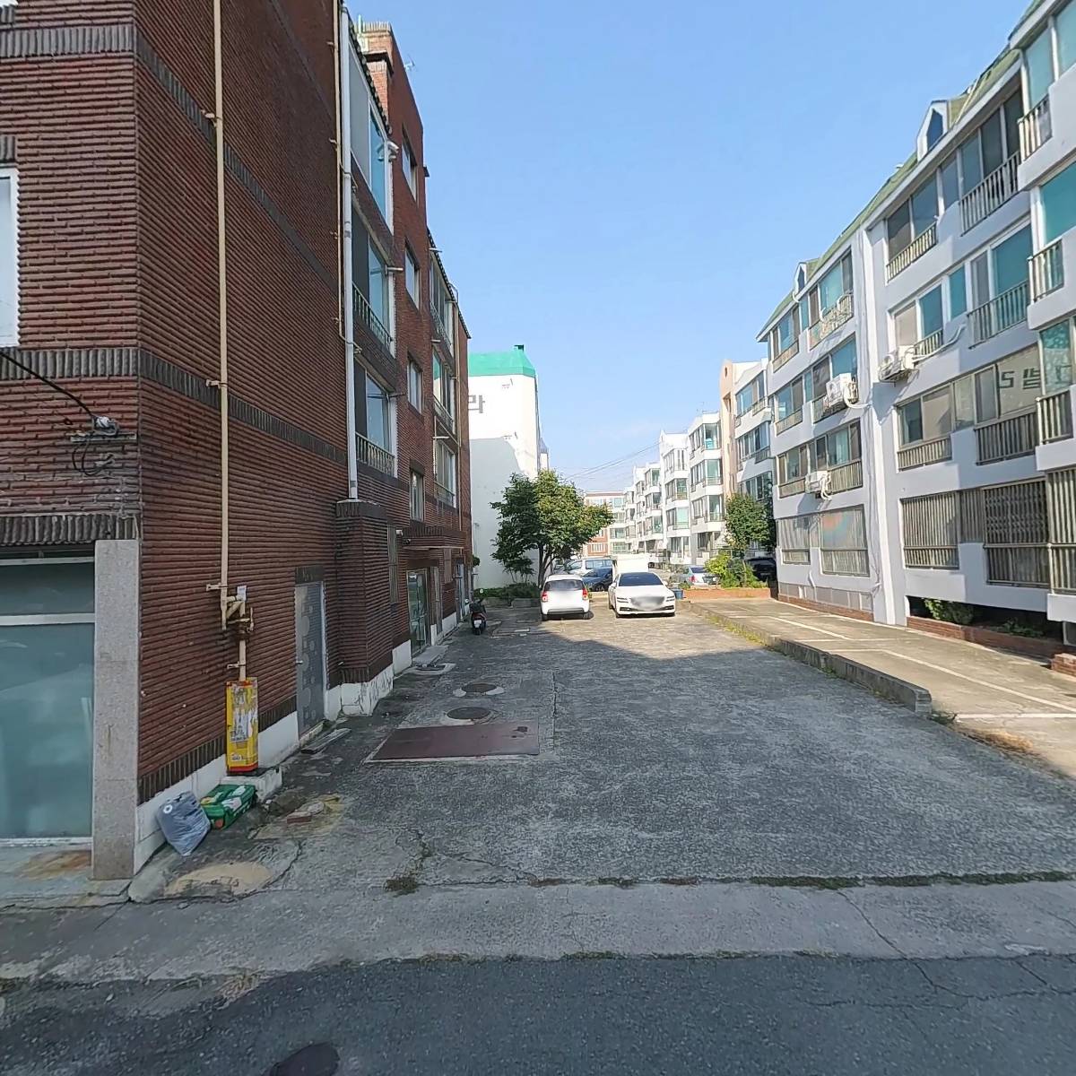 대구광역시 동구체조협회