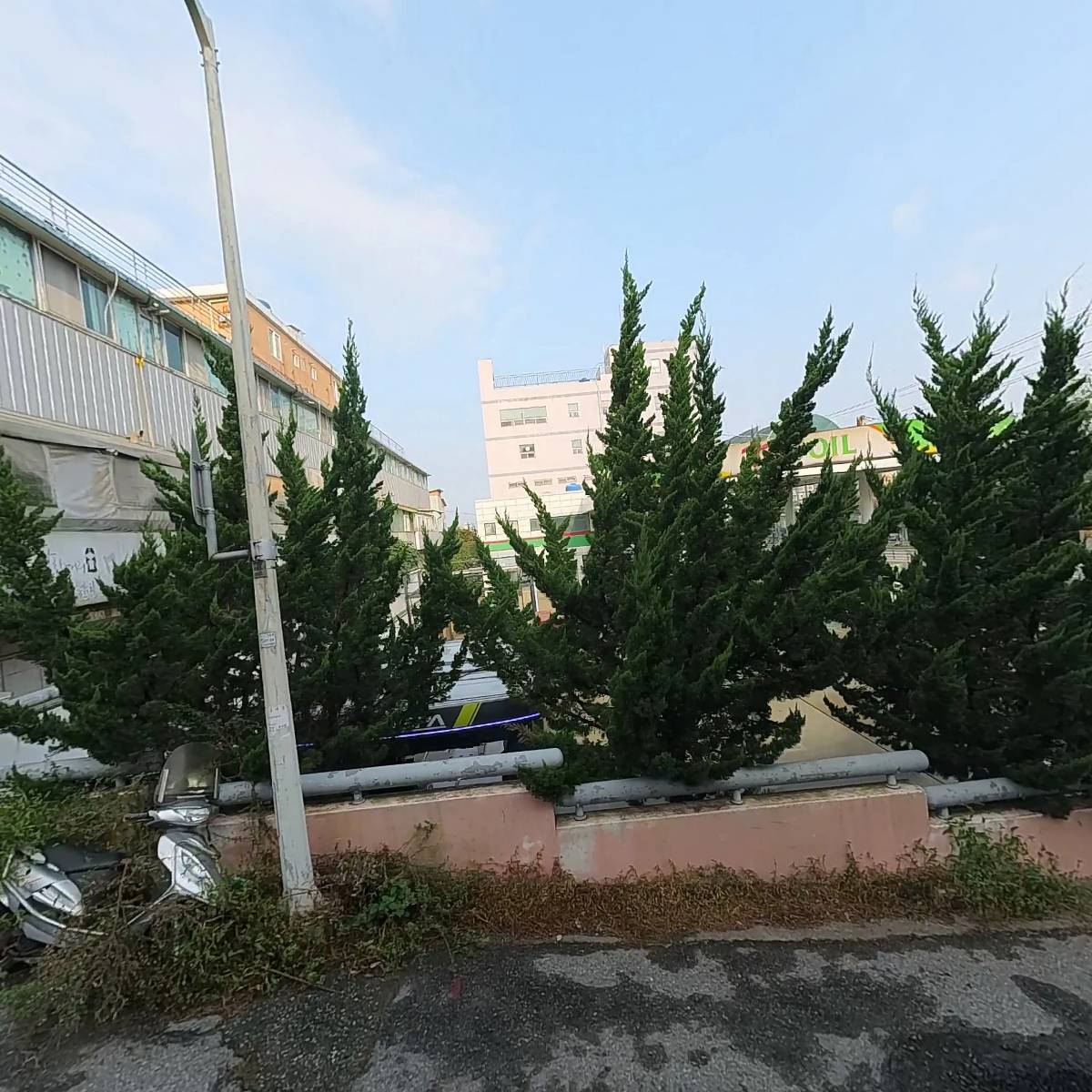 태원상회(군산)_3